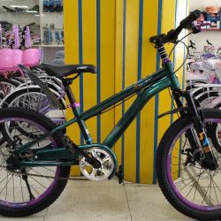 MTB 20 GREEN PURPLE